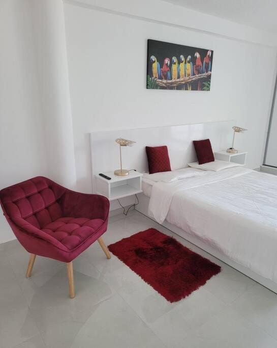Hello Guyane, Suite Collection Cayenne Exterior photo