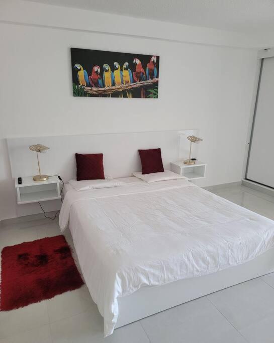 Hello Guyane, Suite Collection Cayenne Exterior photo